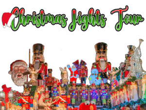 Christmas Lights Tour in NYC