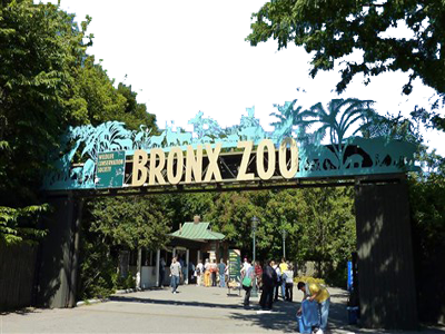 Transportation to NYC Bronx Zoo & Coney Island Aquarium